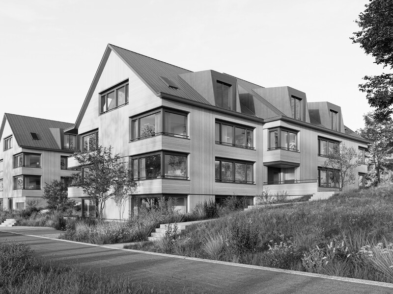 Baueingabe Schönenstrasse Rüschlikon