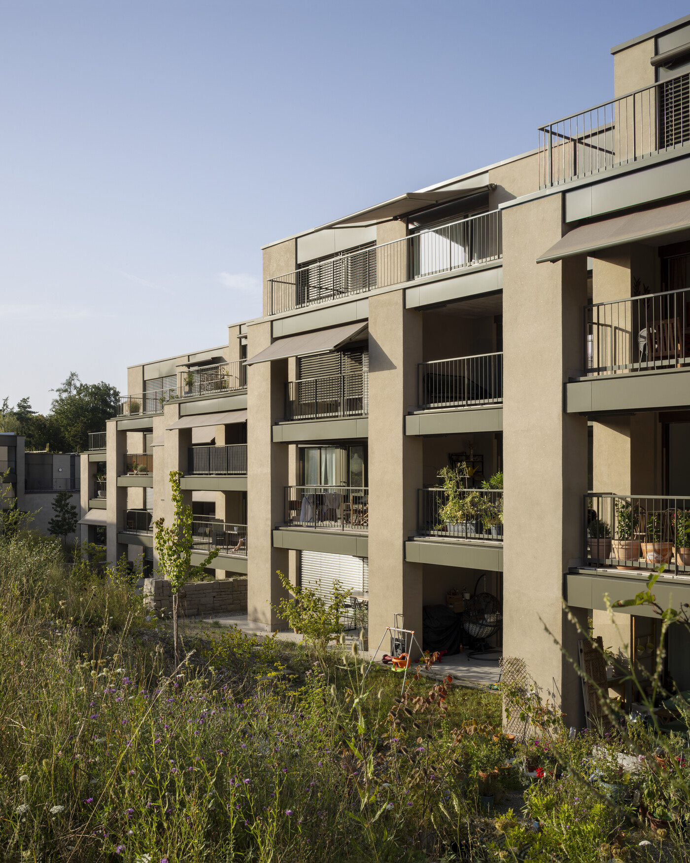 Dachtler Partner Architekten